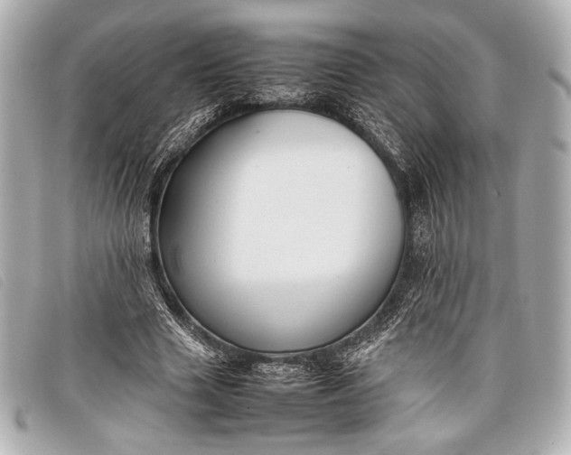 X0000098100633200804181425