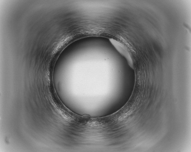 X0000098100634200804181425