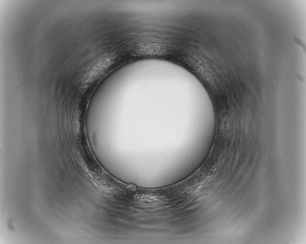X0000098100635200804181425
