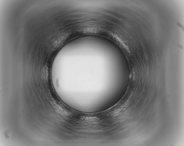 X0000098100637200804181426