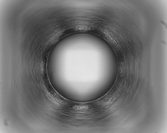 X0000098100639200804181426