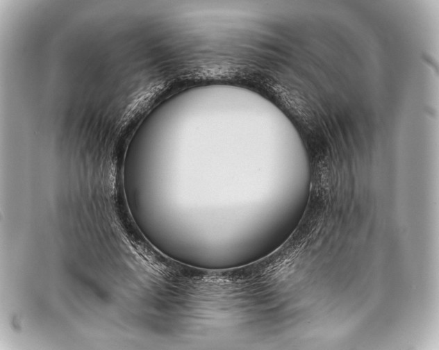 X0000098100640200804181426