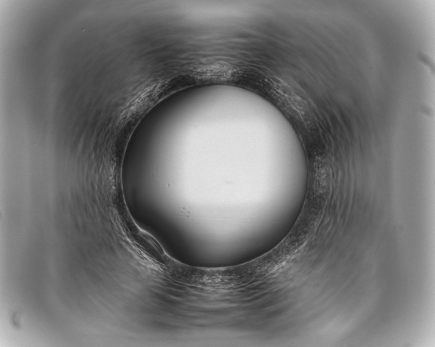 X0000098100641200804181426