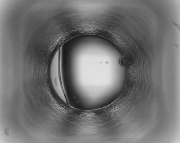 X0000098100642200804181426