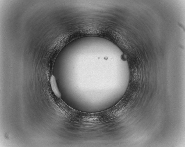 X0000098100643200804181426
