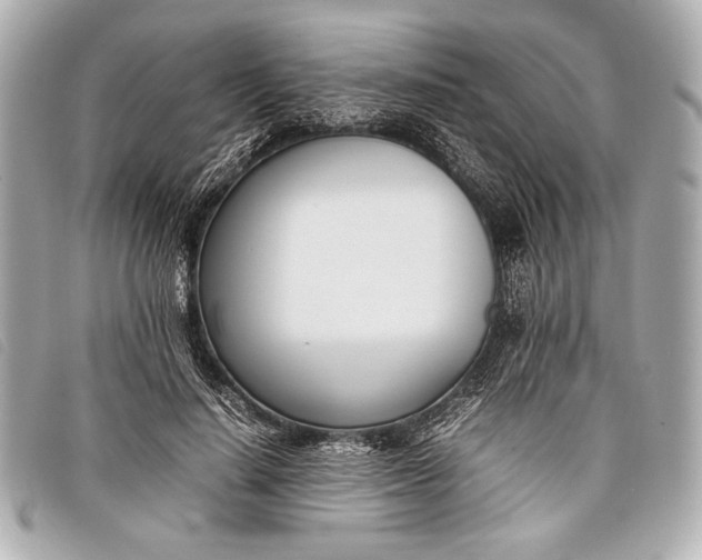 X0000098100644200804181426