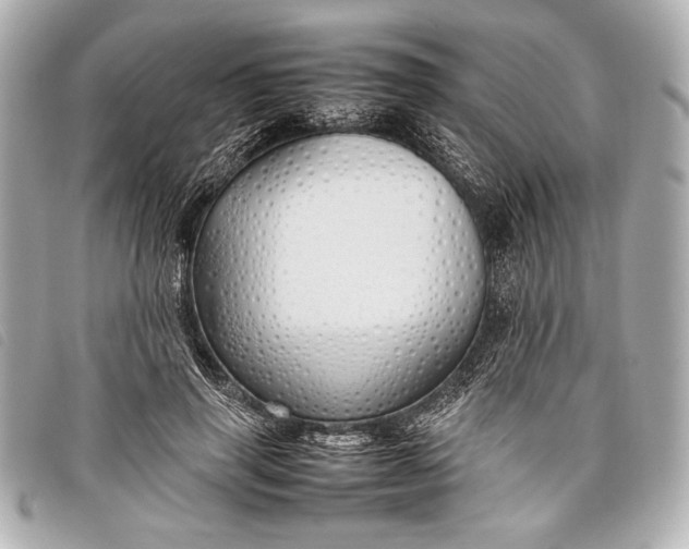 X0000098100645200804181426