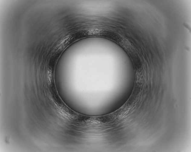 X0000098100648200804181426