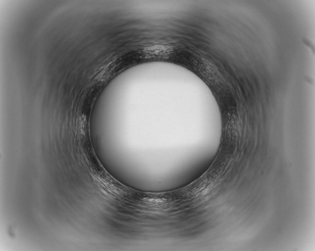 X0000098100649200804181426