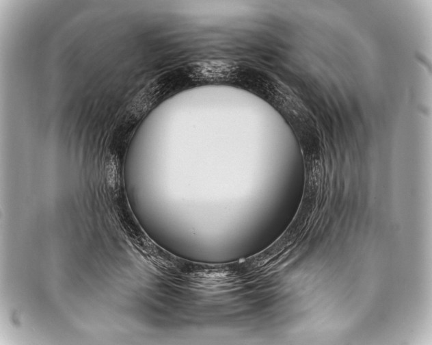 X0000098100651200804181426