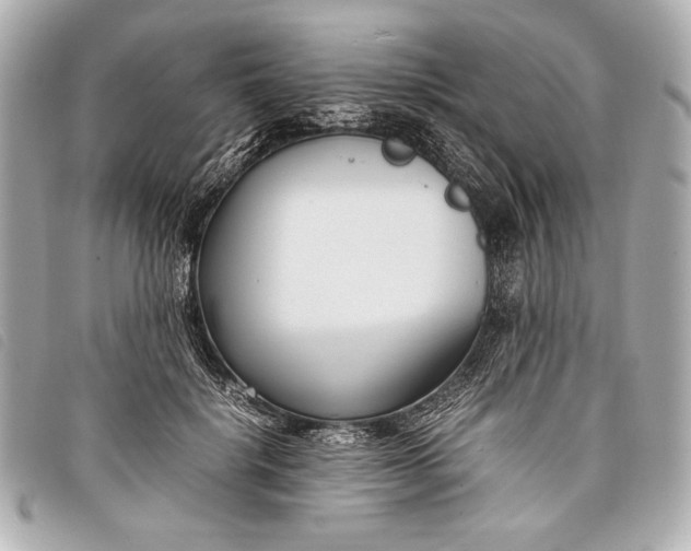 X0000098100652200804181426