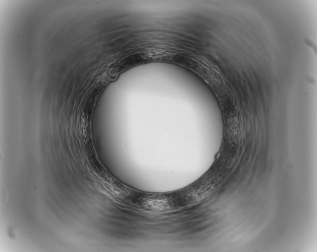 X0000098100653200804181426