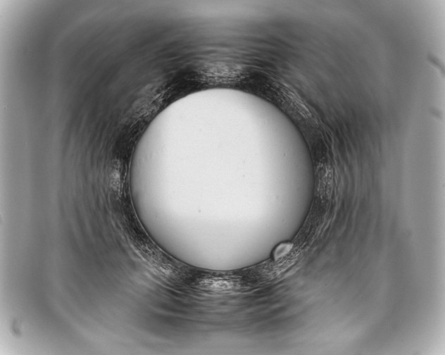 X0000098100655200804181426