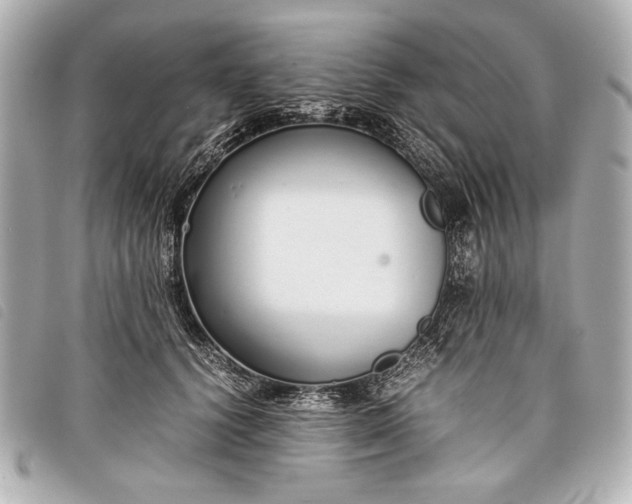 X0000098100656200804181426