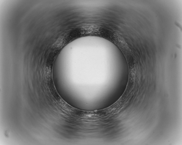 X0000098100657200804181426