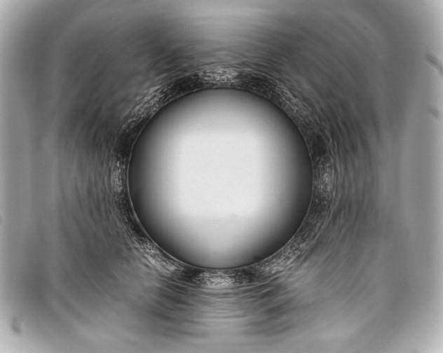 X0000098100658200804181426