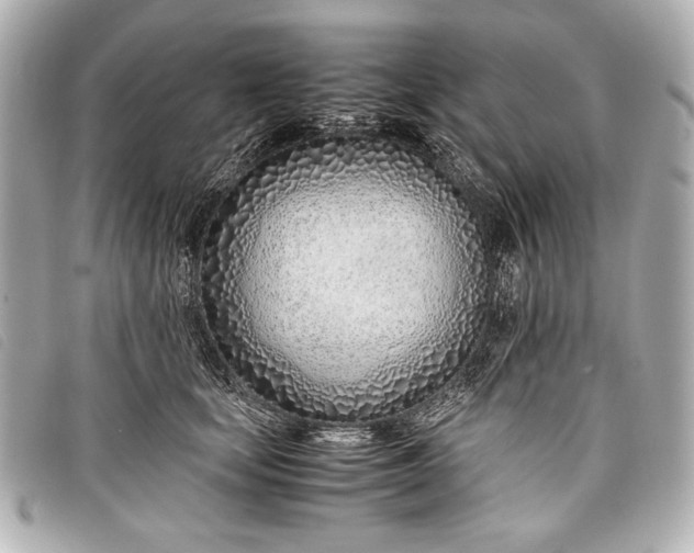 X0000098100659200804181426