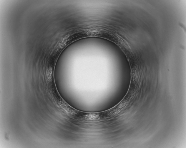 X0000098100660200804181426
