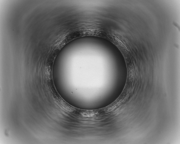X0000098100661200804181426