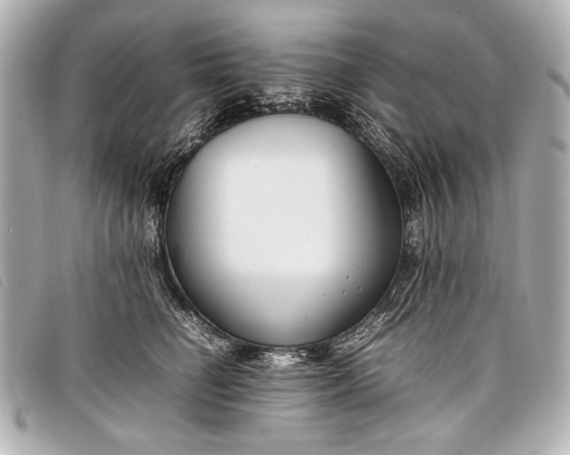 X0000098100662200804181426