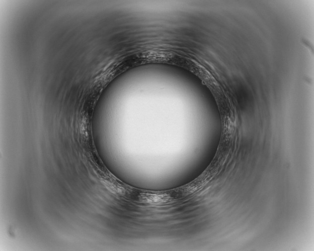 X0000098100663200804181426
