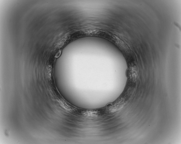 X0000098100664200804181426