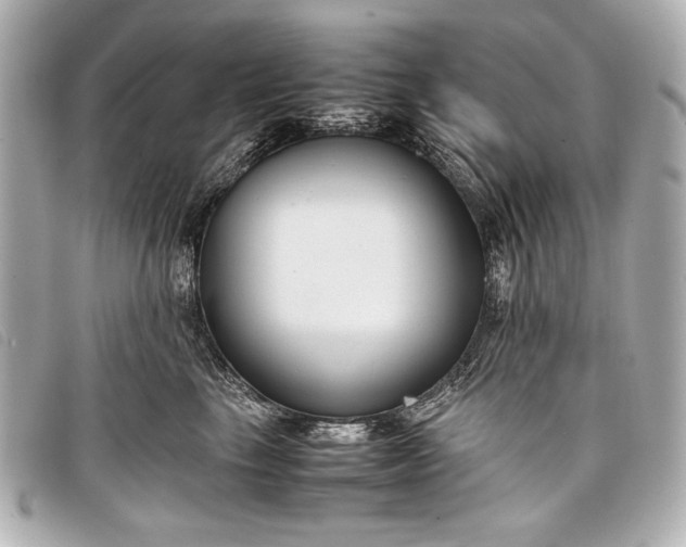 X0000098100665200804181426