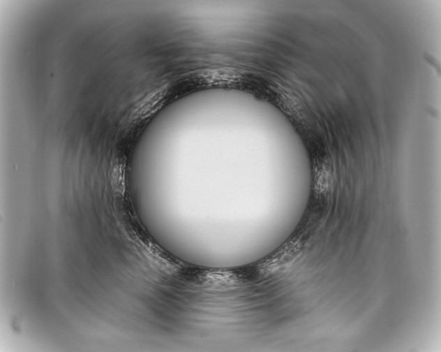 X0000098100666200804181426