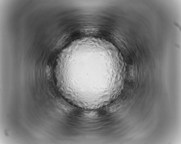 X0000098100667200804181426