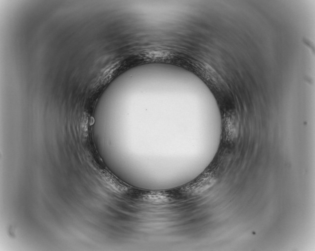X0000098100668200804181426
