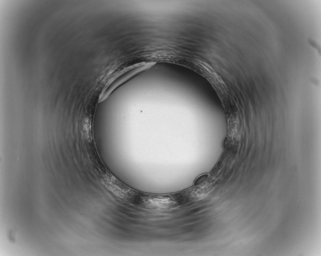 X0000098100669200804181426