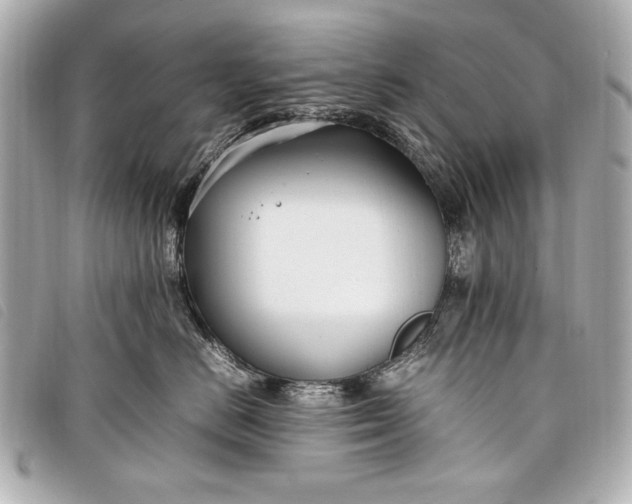 X0000098100670200804181426