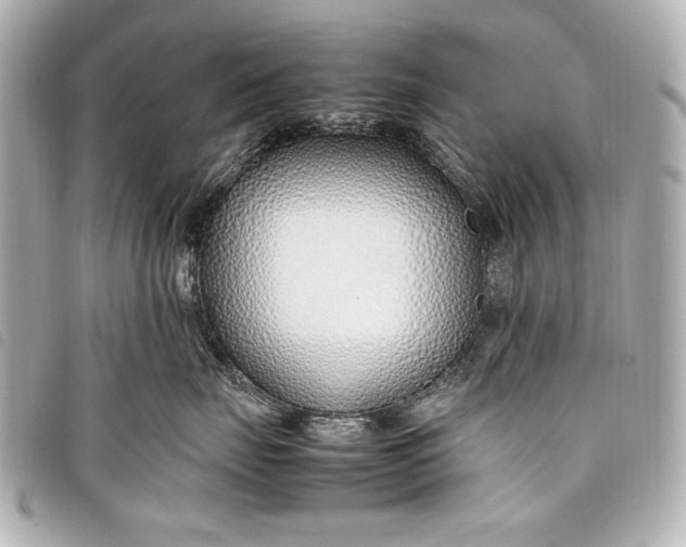 X0000098100671200804181426