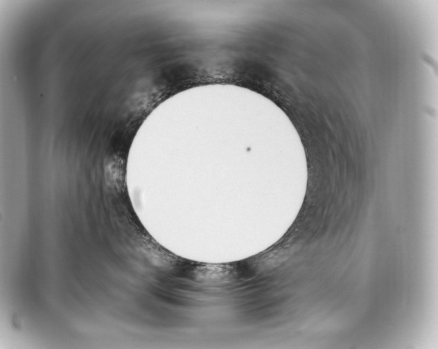 X0000098100672200804181426