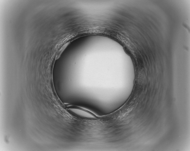 X0000098100673200804181425
