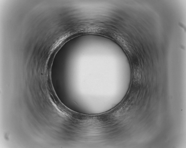 X0000098100674200804181425