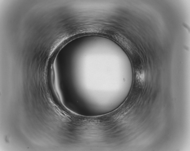 X0000098100676200804181425