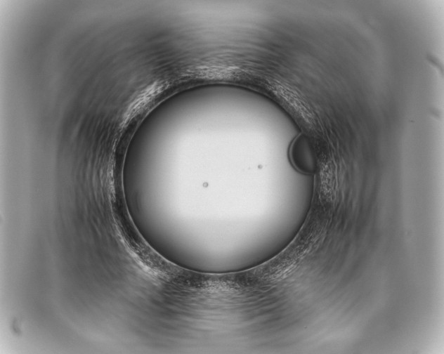 X0000098100682200804181425
