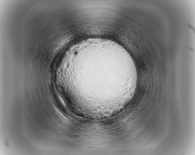X0000098100683200804181425