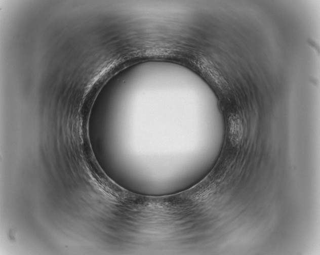 X0000098100684200804181425