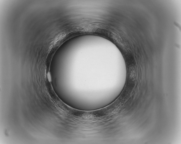 X0000098100685200804181425