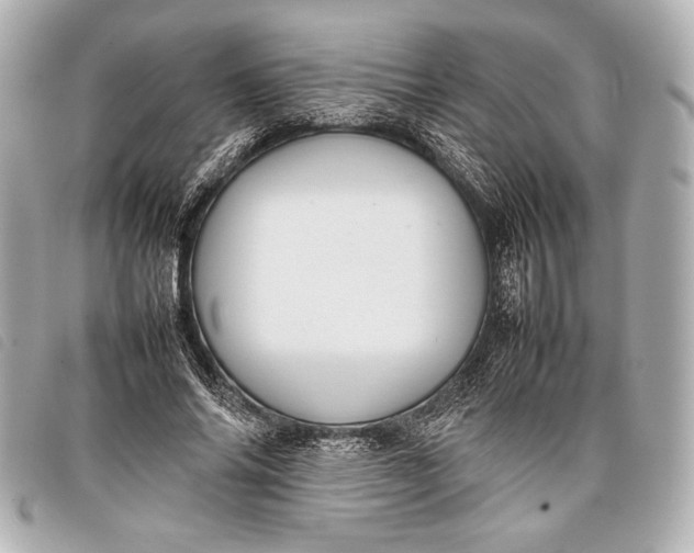 X0000098100686200804181425