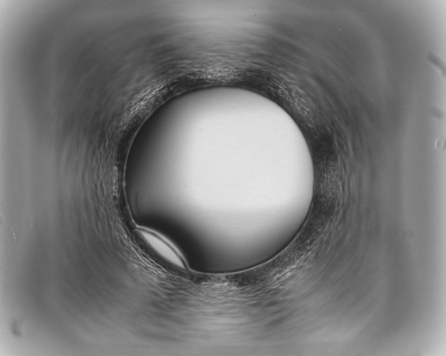 X0000098100689200804181425