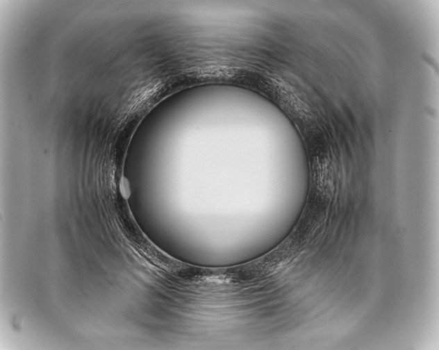 X0000098100692200804181425