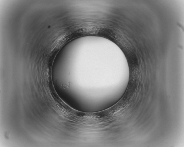 X0000098100693200804181425