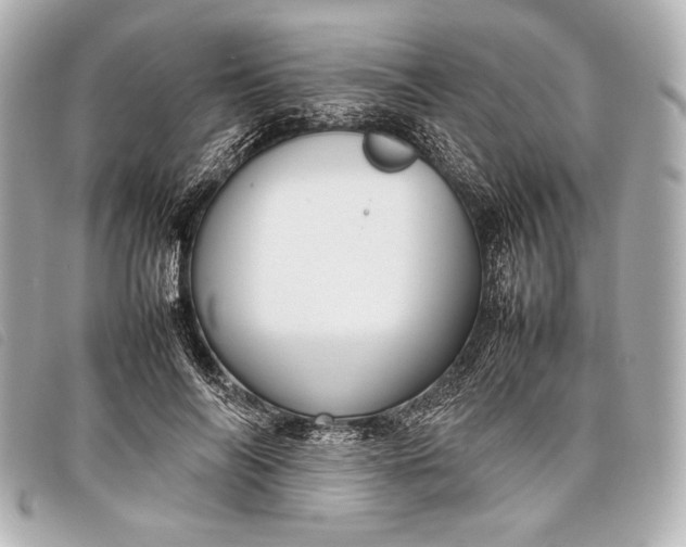 X0000098100694200804181425