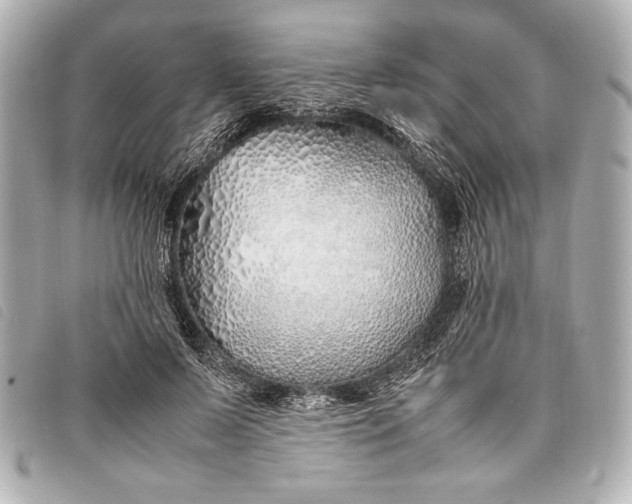 X0000098100695200804181425