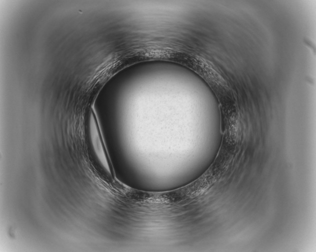 X0000098100696200804181425