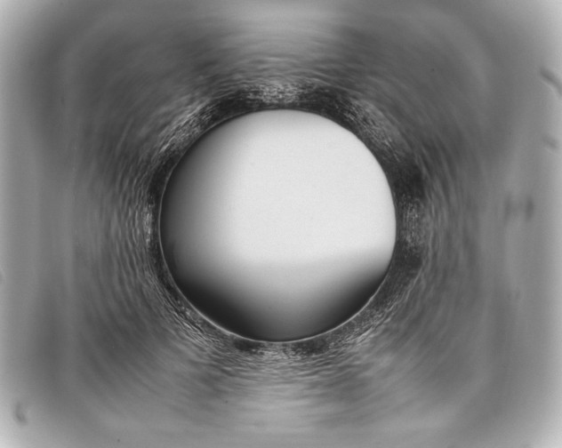 X0000098100697200804181425
