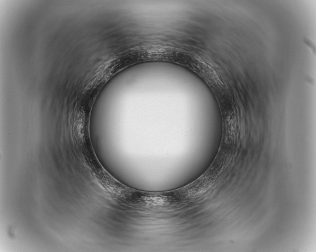 X0000098100698200804181425